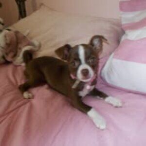 Meet your Posher, Sandy